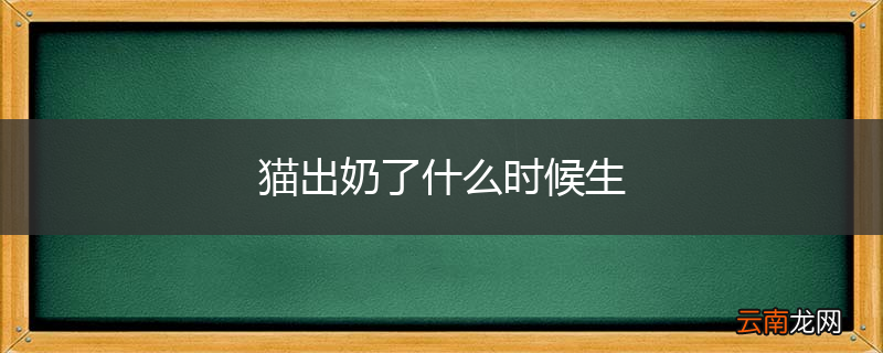 猫出奶了什么时候生