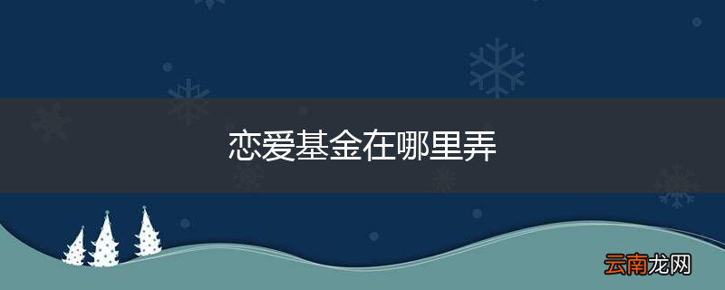 恋爱基金在哪里弄