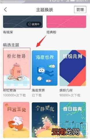 网易有钱记账怎么更换皮肤？