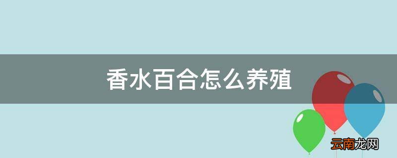香水百合怎么养殖