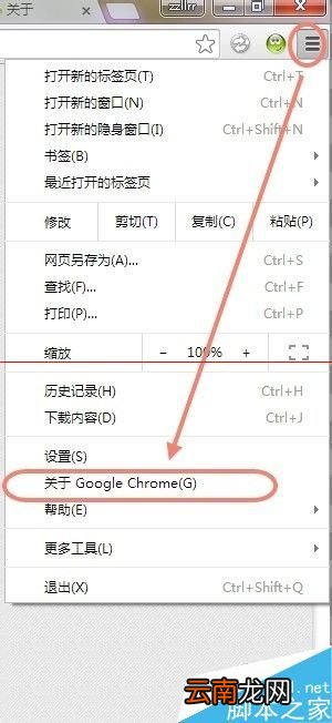 Chrome浏览器无法访问更新服务器该怎么解决?