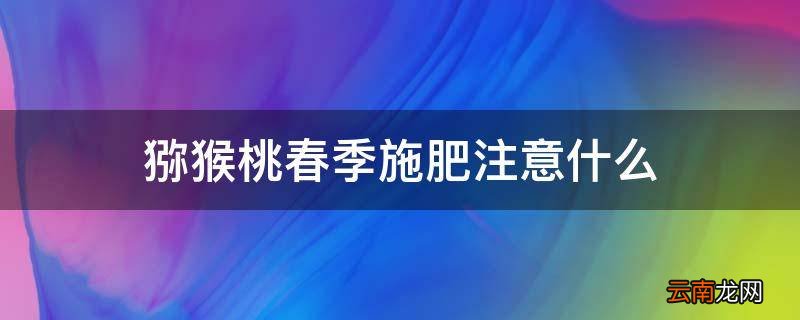猕猴桃春季施肥注意什么