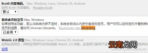 优化chrome浏览器五个技巧 chrome浏览器使用技巧