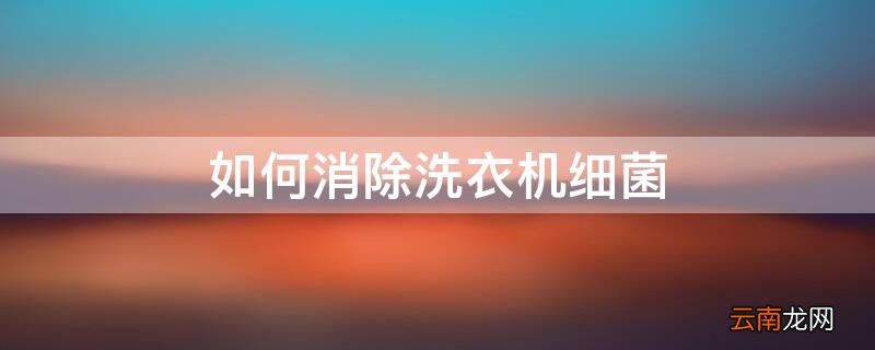 如何消除洗衣机细菌 洗衣机怎么去除真菌