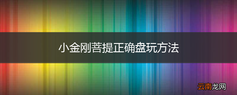 小金刚菩提正确盘玩方法