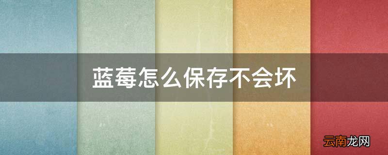 蓝莓怎么保存不会坏