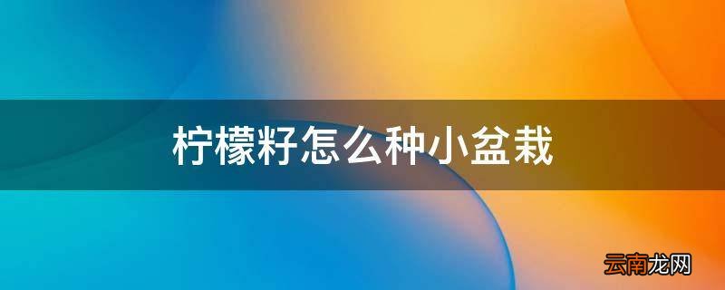 柠檬籽怎么种小盆栽