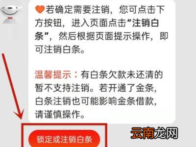 怎样注销京东白条