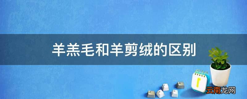 羊羔毛和羊剪绒的区别