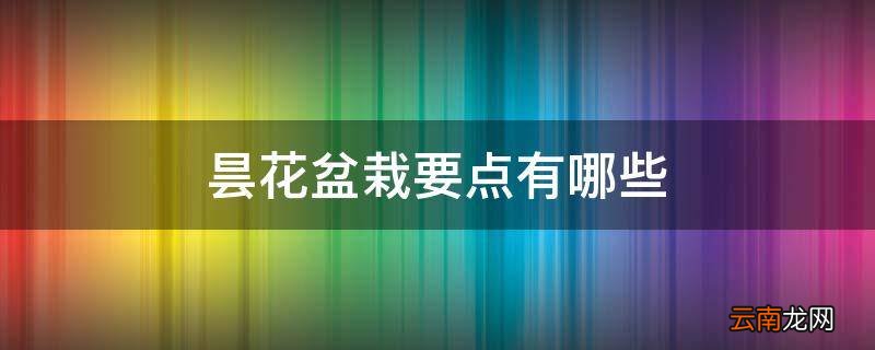 昙花盆栽要点有哪些