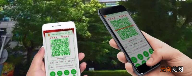健康码变黄码怎么办 健康码为什么绿码变黄码