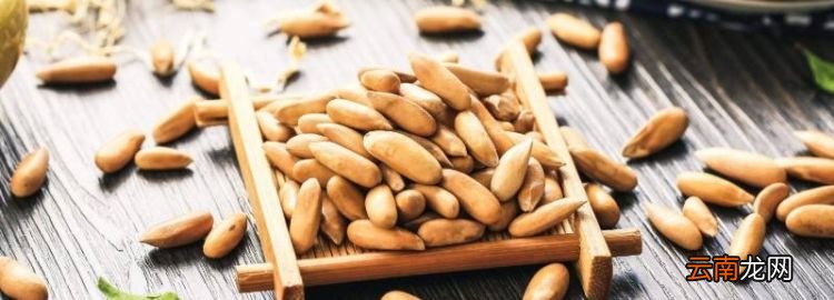 禁止生产经营的食品有哪些