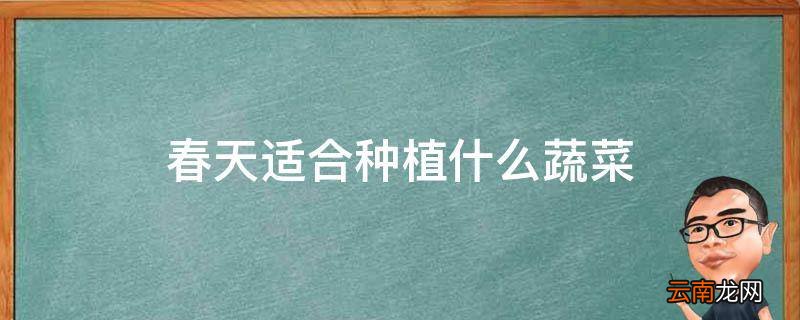 春天适合种植什么蔬菜