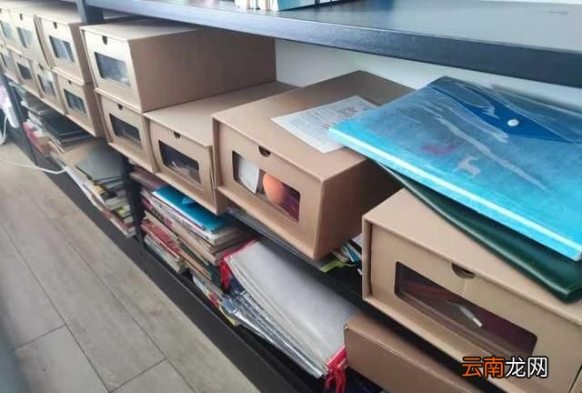 书柜设计实用效果图 什么样的书柜最实用