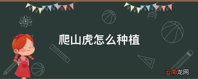爬山虎怎么种植