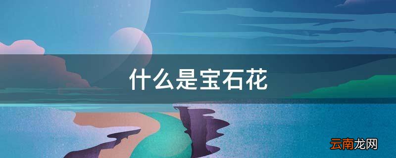 什么是宝石花