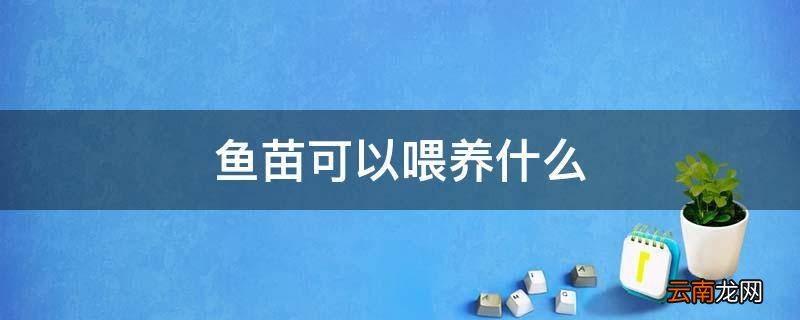 鱼苗可以喂养什么