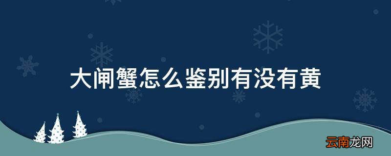 大闸蟹怎么鉴别有没有黄