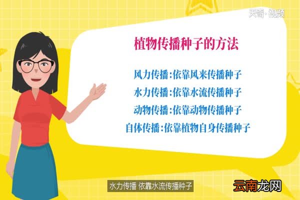 植物传播种子的方法 植物传播种子有哪些方法