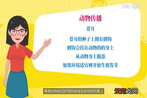 植物传播种子的方法 植物传播种子有哪些方法