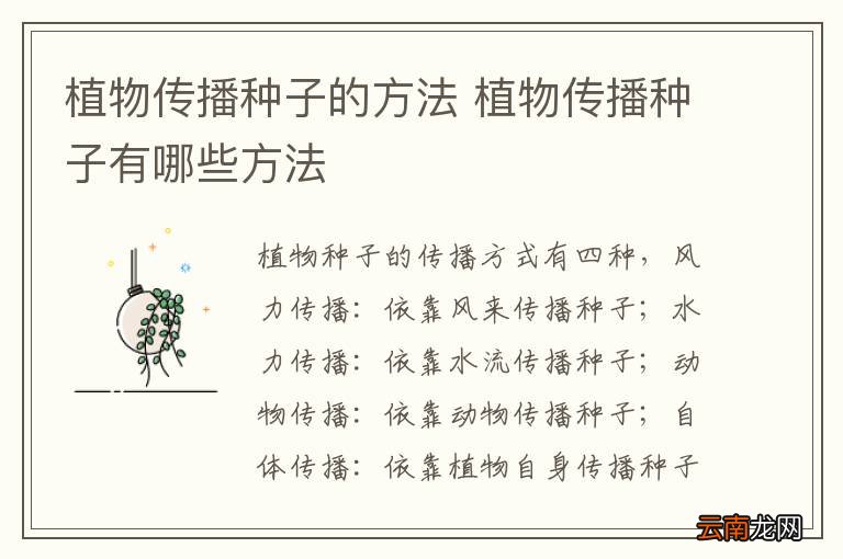 植物传播种子的方法 植物传播种子有哪些方法