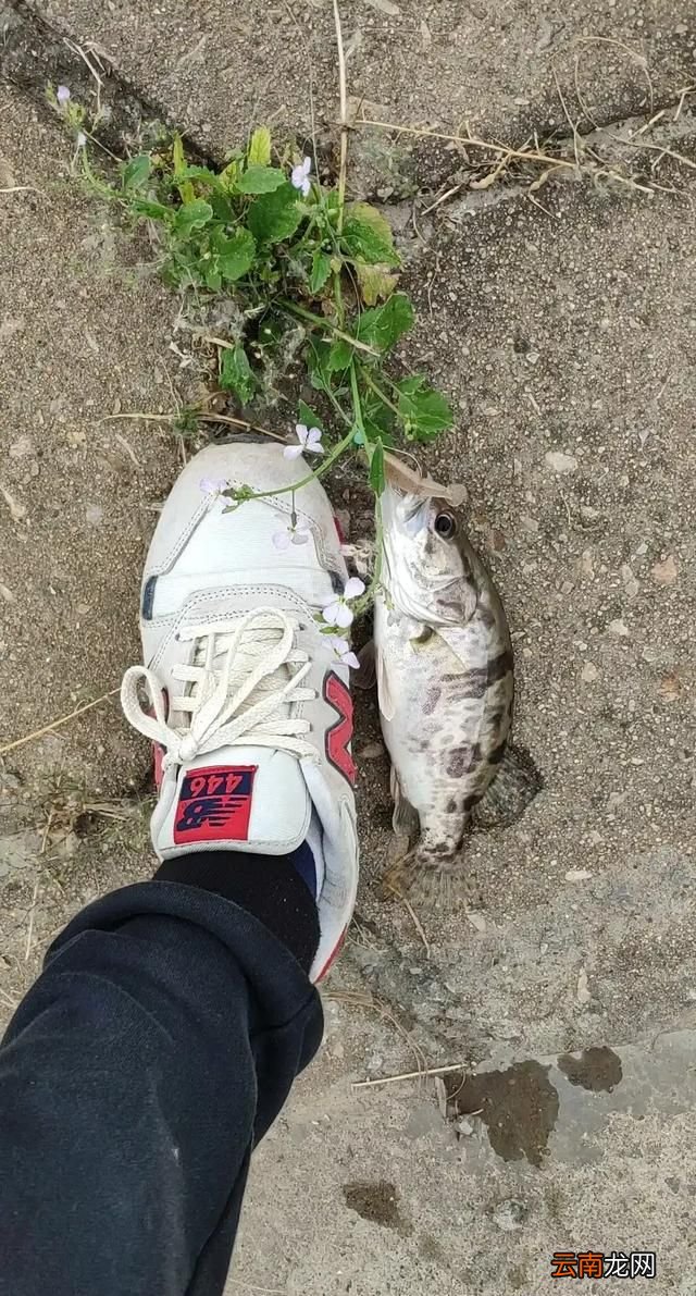 小白如何玩路亚 路亚 怎么玩