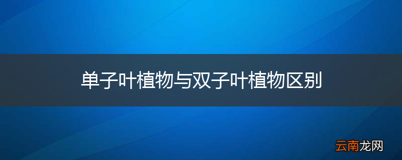 单子叶植物与双子叶植物区别