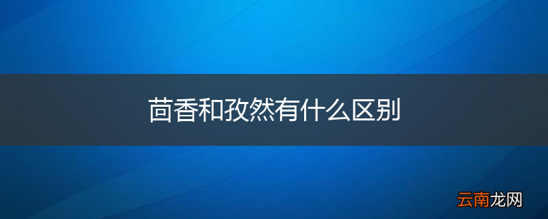 茴香和孜然有什么区别
