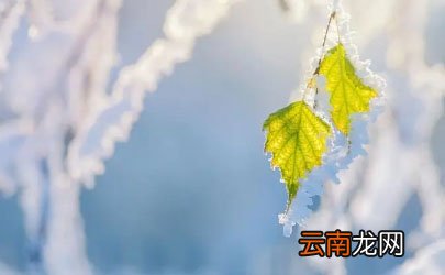 2022年立冬后多久开始很冷