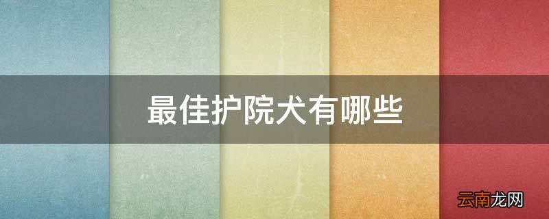 最佳护院犬有哪些
