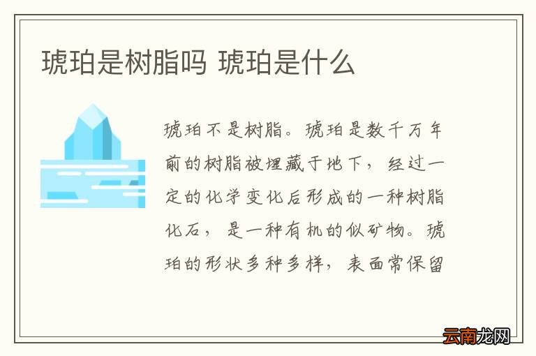 琥珀是树脂吗 琥珀是什么