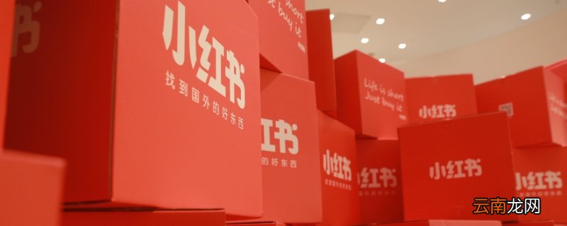 小红书为什么不能改名字 小红书为什么不能改名字,老是维护中