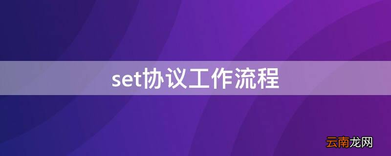 set协议工作流程 set协议的工作流程