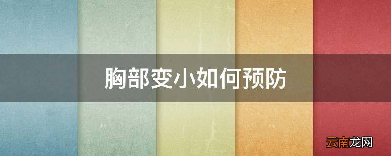 胸部变小如何预防