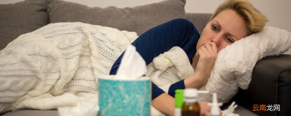 推荐治疗感冒的7道食疗方