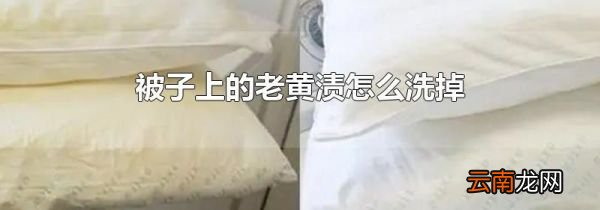 被子上的老黄渍怎么洗掉