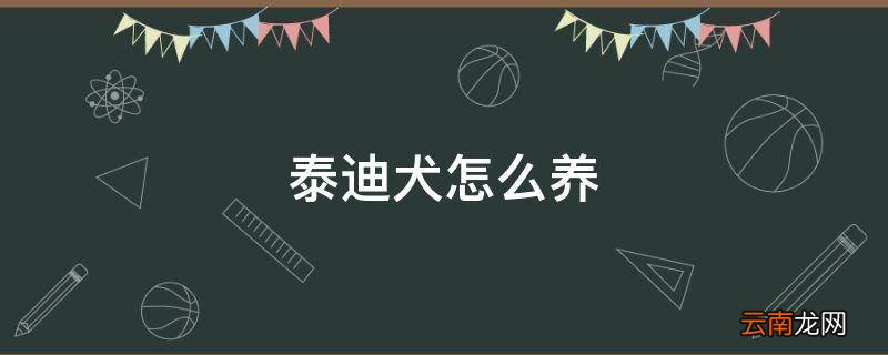 泰迪犬怎么养