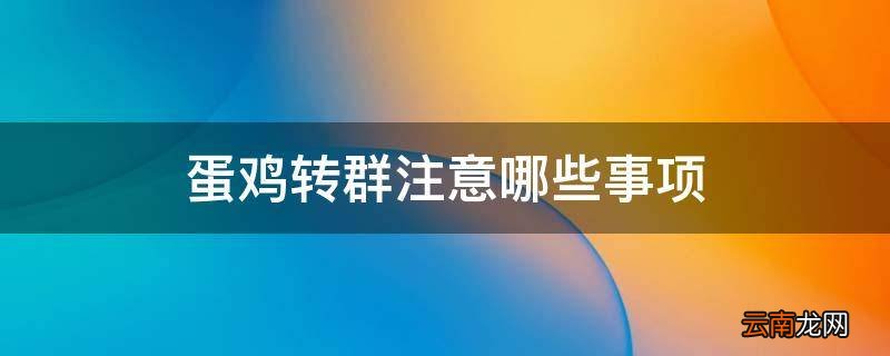 蛋鸡转群注意哪些事项
