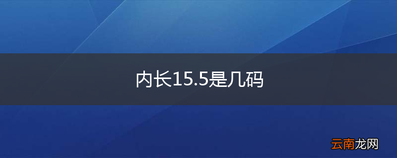 内长15.5是几码