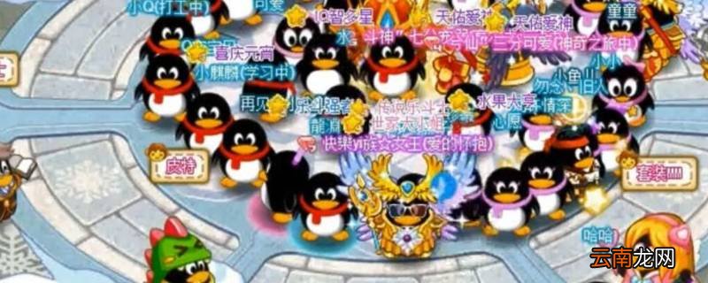 2021年还有qq宠物吗 2021年还有qq空间宠物吗