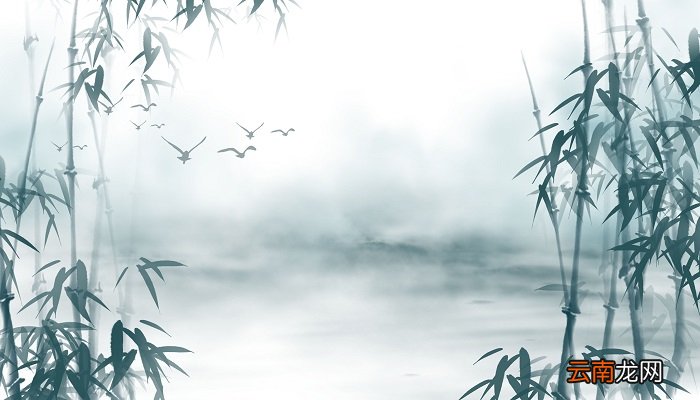 竹子的寓意是什么 竹子的寓意是什么意思