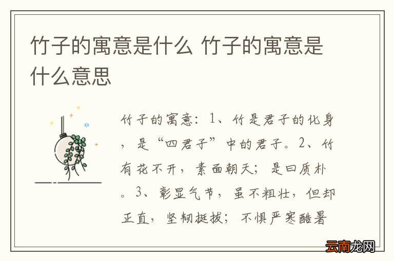 竹子的寓意是什么 竹子的寓意是什么意思