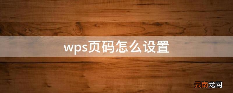 wps页码怎么设置 wps页码怎么设置一左一右