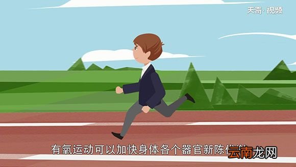 有氧运动和无氧运动的区别 有氧运动和无氧运动有什么区别