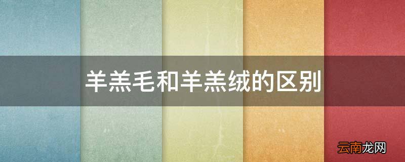 羊羔毛和羊羔绒的区别