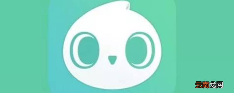 有放大镜的p图软件是哪个 放大镜的是什么p图软件