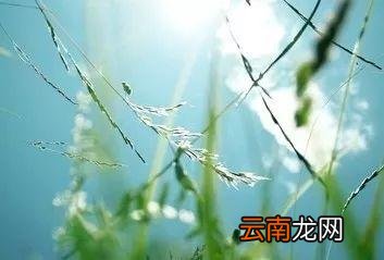 夏季养生-夏季食疗养生
