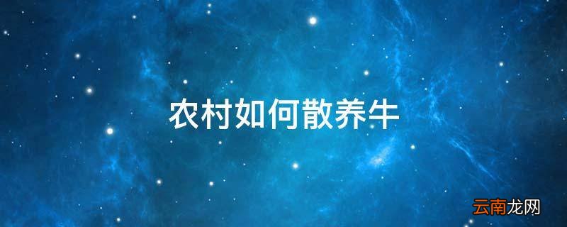 农村如何散养牛