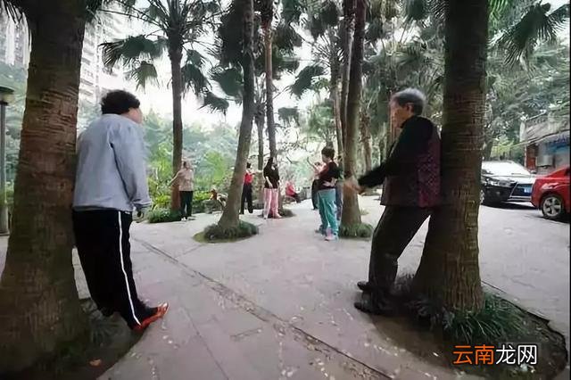 「健康」如此“养生”不可取!