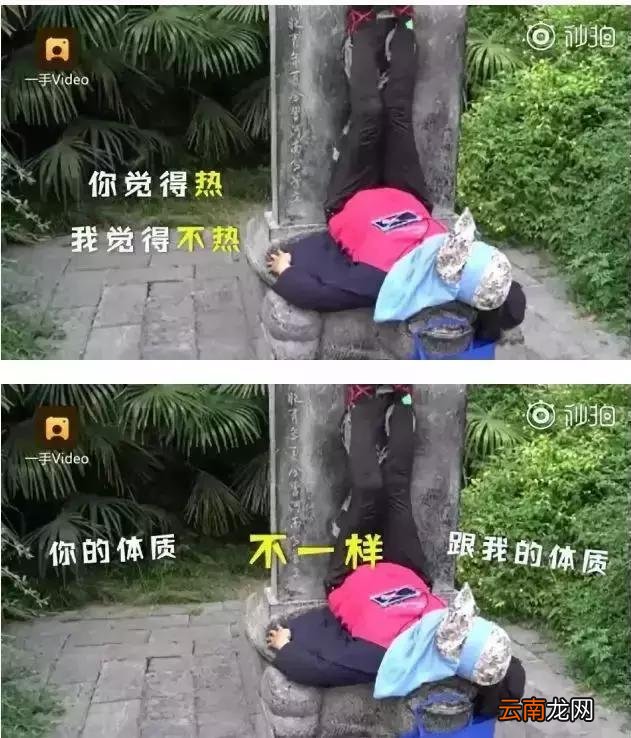 「健康」如此“养生”不可取!